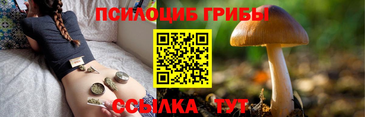 Галлюциногенные грибы Cubensis Химки